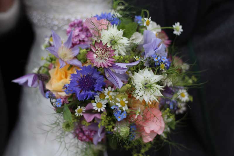 Bride and groom holding a vibrant wildflower bouquet featuring cornflowers, daisies and alpine meadow blooms
