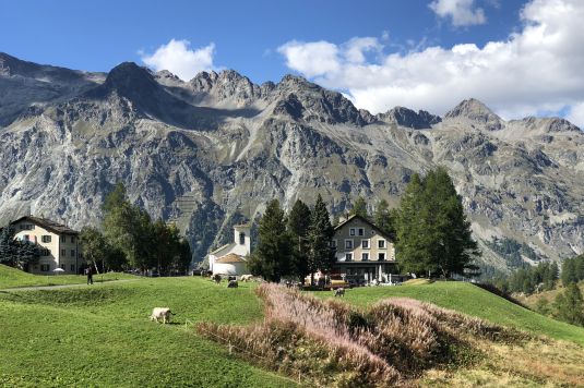 Hotel Sonne Fex im Engadiner Fextal, umgeben von grünen Wiesen, Bäumen und imposanter Bergkulisse