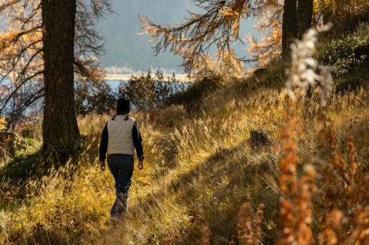 Wandergruppe auf Bergpfad im Fextal mit Blick auf Wiesen und Wälder im Sommer